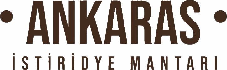 Ankaras İstiridye Mantarı
